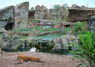 Bioparc Valencia: Ticket mit Schnelleintritt, València, Spanien, Valencia Pass.