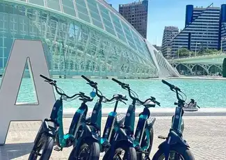Valencia: Yamaha Premium-E-Bike-Verleih, València, Spanien, Valencia Pass.