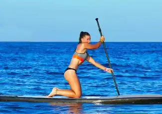 Valencia: 1-Stunden-Paddel-SUP-Erfahrung, València, Spanien, Valencia Pass.