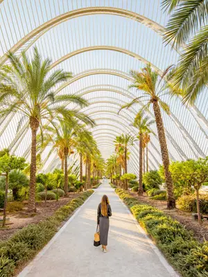 Erleben Sie das Umbracle in der Stadt der Künste und Wissenschaften mit einer geführten Tour - Planen Sie Ihren Besuch mit Valencia Pass.