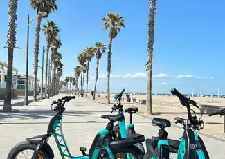 Valencia: Yamaha Premium-E-Bike-Verleih, València, Spanien, Valencia Pass.