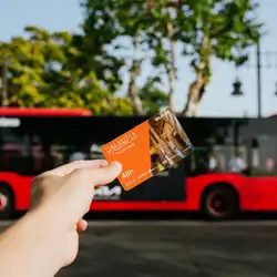 Entsperren Sie die wichtigsten Sehenswürdigkeiten von Valencia mit einem vielseitigen City Pass, Spanien.