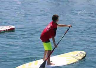 Valencia: 1-Stunden-Paddel-SUP-Erfahrung, València, Spanien, Valencia Pass.
