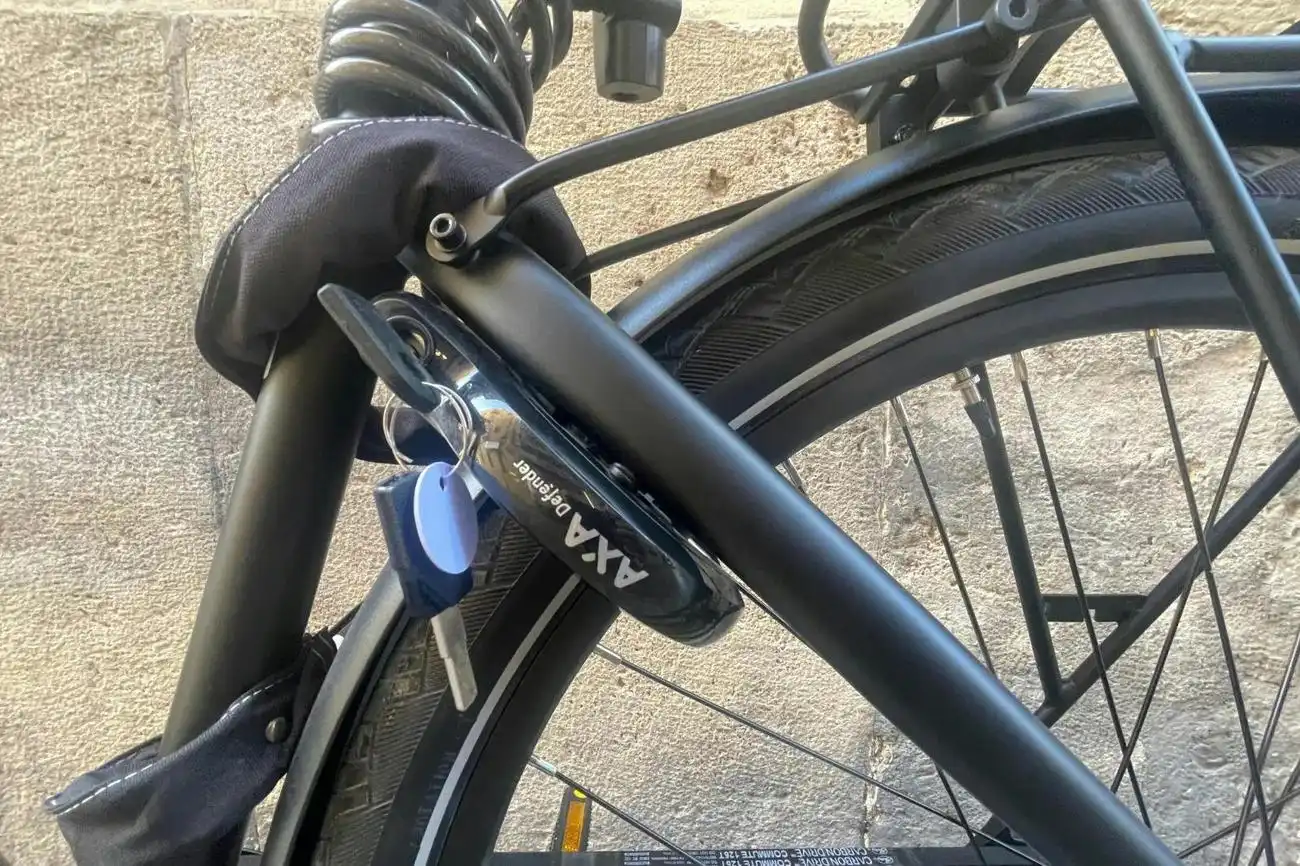 Valencia: Elektrofahrradverleih, València, Spanien, Valencia Pass.