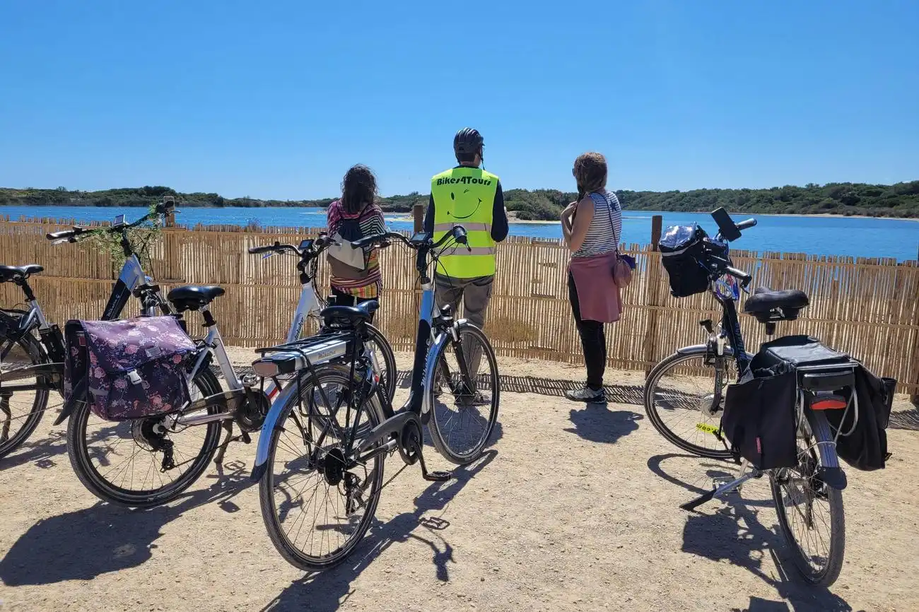 Valencia: Halbtägige geführte Fahrrad Tour, València, Spanien, Valencia Pass.