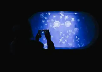 Oceanogràfic – Ozeaneum von Valencia: Eintrittskarte, València, Spanien, Valencia Pass.