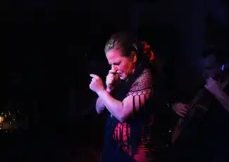 El Toro y la Luna Tablao Flamenco Show mit Abendessen und Getränk, València, Spanien, Valencia Pass.