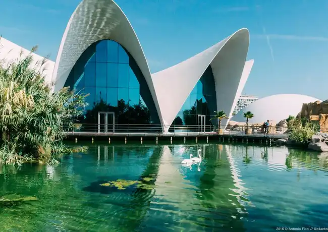 Oceanogràfic – Ozeaneum von Valencia: Eintrittskarte, València, Spanien, Valencia Pass.