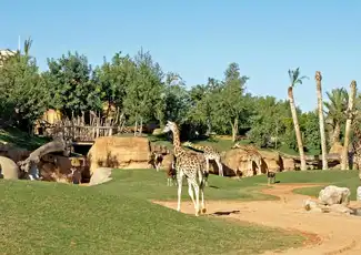 Bioparc Valencia: Ticket mit Schnelleintritt, València, Spanien, Valencia Pass.