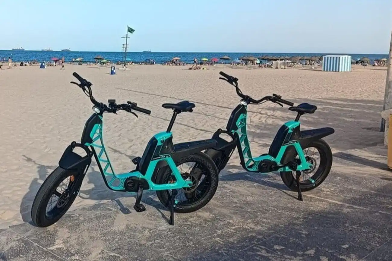 Valencia: Yamaha Premium-E-Bike-Verleih, València, Spanien, Valencia Pass.