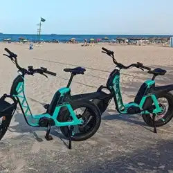 Leihen Sie ein Fahrrad und erkunden Sie die Straßen Valencias, Spanien.