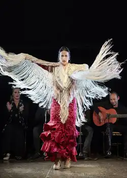 Entdecken Sie die Live-Tanzshows von Valencia, Spanien.