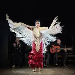 Entdecken Sie die Live-Tanzshows von Valencia, Spanien.