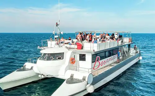 Valencia: Katamaran Bootstour + Schwimmen, València, Spanien, Valencia Pass.