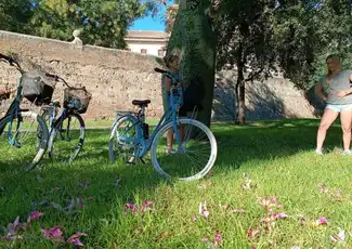 València: Grand City Private Guided Tour, València, Spanien, Valencia Pass.