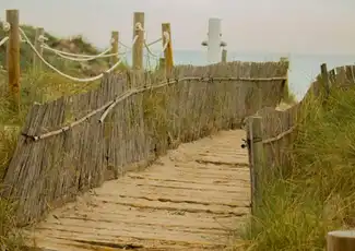 Albufera: Geführte Tagestour von Valencia aus + Bootsfahrt, València, Spanien, Valencia Pass.
