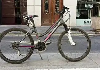 Valencia: Mountainbike-Verleih für Erwachsene, València, Spanien, Valencia Pass.
