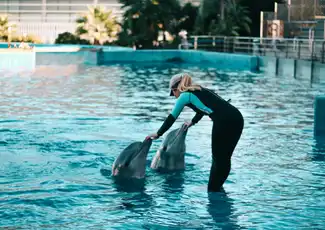 Oceanogràfic – Ozeaneum von Valencia: Eintrittskarte, València, Spanien, Valencia Pass.
