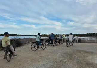 Valencia: Halbtägige geführte Fahrrad Tour, València, Spanien, Valencia Pass.