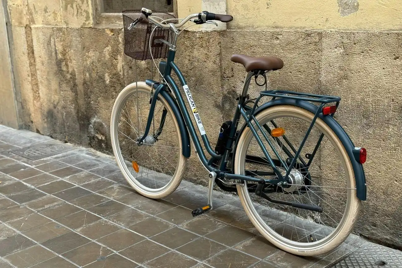 Valencia: Fahrradverleih in der Stadt, València, Spanien, Valencia Pass.
