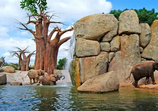 Bioparc Valencia: Ticket mit Schnelleintritt, València, Spanien, Valencia Pass.