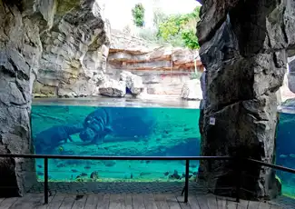 Bioparc Valencia: Ticket mit Schnelleintritt, València, Spanien, Valencia Pass.